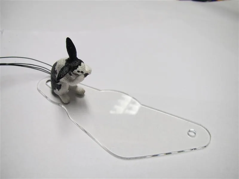 tom_left_plastic_with_rab tom_left_plastic_with_rab