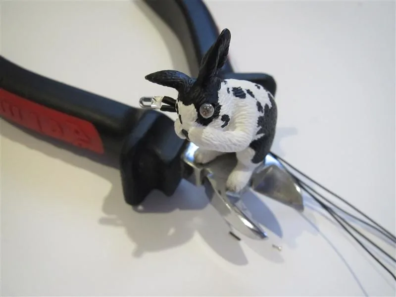tom_rabbit_02 tom_rabbit_02
