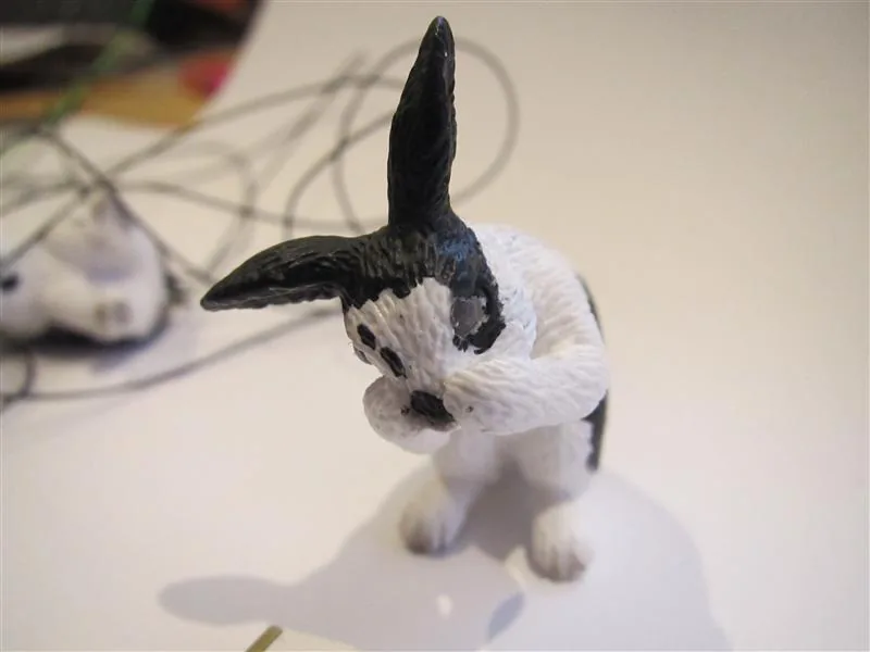 tom_rabbit_03 tom_rabbit_03