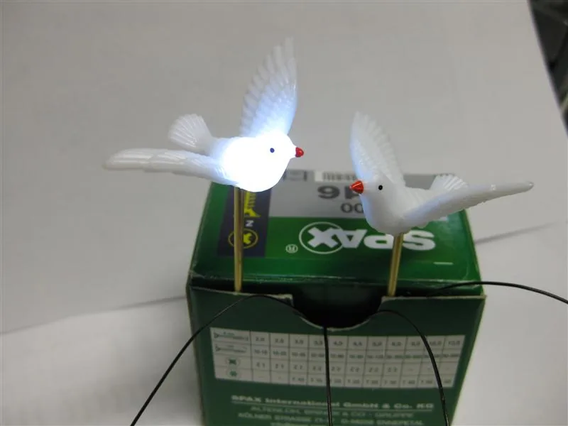 ToM_Dove_03 ToM_Dove_03