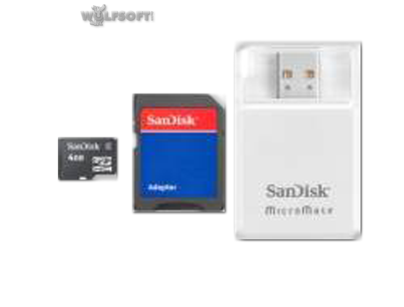 SanDisk MicroSDHC 4GB