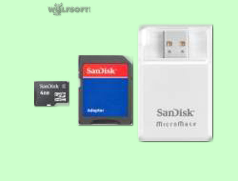 SanDisk MicroSDHC 4GB